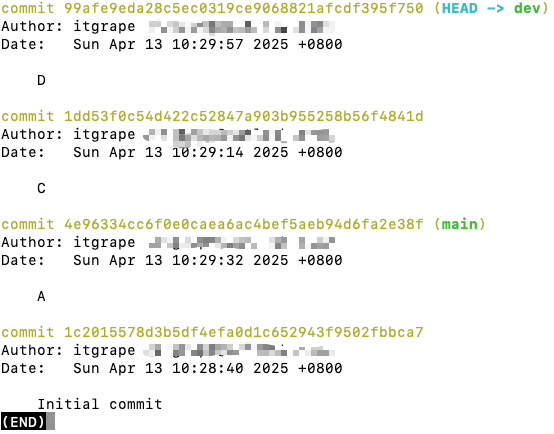 image-20250413103351206